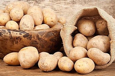 顽皮狗新Logo曝光 第二个新作不会是小体量游戏